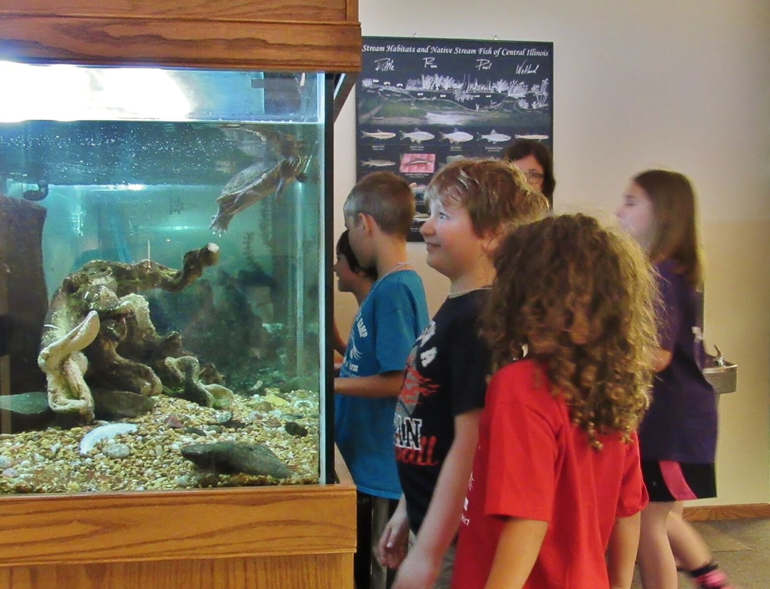 Feed the Animals at Rock Springs Nature Center