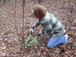 woman kneeling and cutting plants in the forest